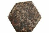 Stony Chondrite Cabochon ( grams) - Meteorite #238205-1